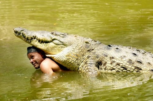 El pescador, que entonces tenía 34 años, lo subió a su lancha y lo llevó a su casa para aprovechar su cuero, pero al pasar los días sin que el animal muriera decidió curarlo y alimentarlo.