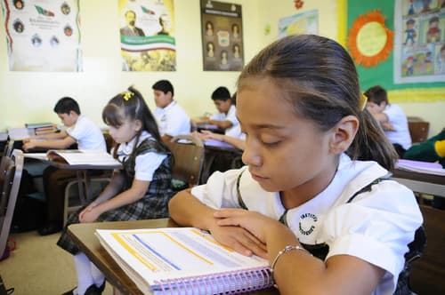 Compresión. El colegio Luis de Montesquieu participa por segunda ocasión en el concurso Yo Leeo.