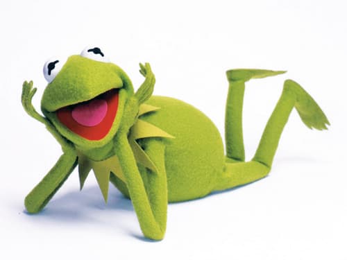 Tras 12 años de su última aparición en cine, Los Muppets vuelven hoy a la pantalla grande.