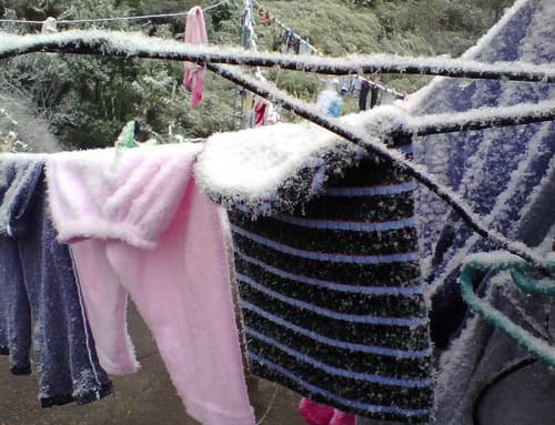 Hielo. Temperaturas de hasta 7 grados bajo cero se reportaron en San Joaquín. 