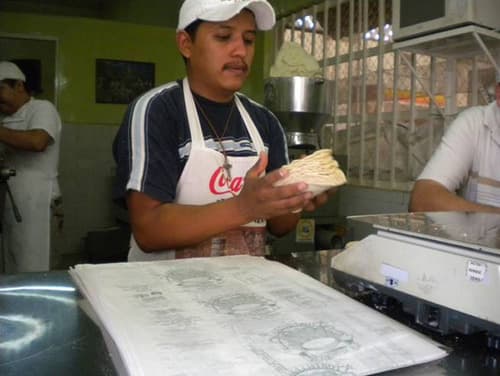 A la alza. Productores de la tortilla esperan un mal inicio de año, viéndose obligados a comprar maíz amarillo de los Estados Unidos, asegurando que la sequía los dejó sin opciones para el 2012.