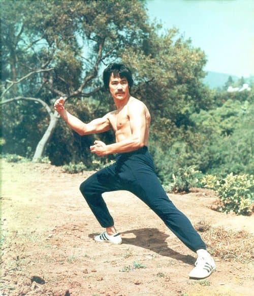 El Instituto de Artes Marciales prepara sus cursos de wing chun. Darán cursos de wing chun