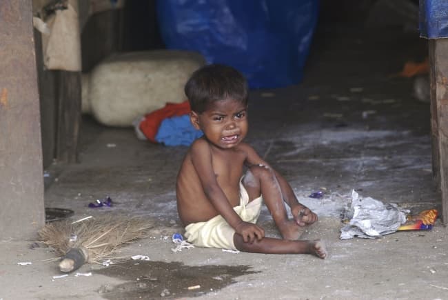 Cerca de 500 millones de niños en el mundo sufrirán retrasos en su desarrollo físico y mental en los próximos 15 años debido a la desnutrición, si no toman medidas urgentes contra la crisis alimentaria.