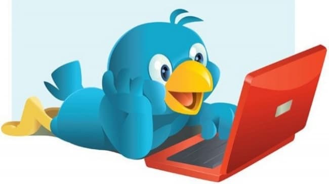 A uno de los gerentes de la red de microblogging se le escapó el nombre del pájaro azul que representa el logo de la página.