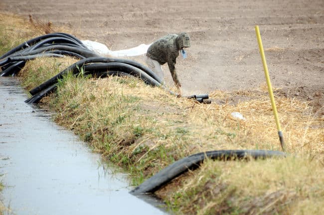 Tecnificación. Productores necesitan avanzar en el tema de la modernización y tecnificación del riego para aprovechar el agua.