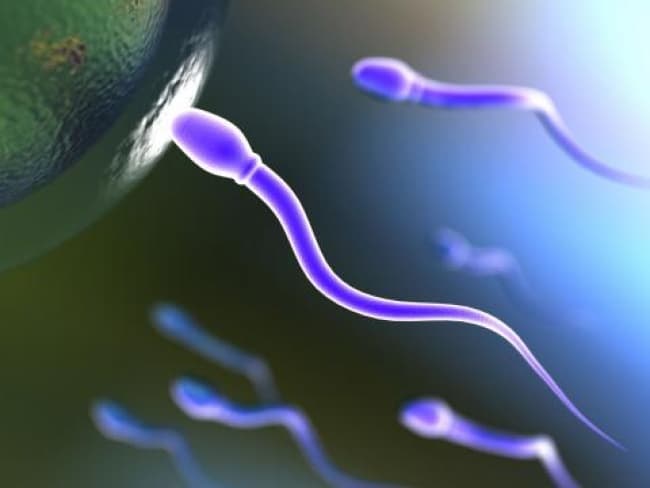 Hasta ahora los métodos anticonceptivos para el hombre son irreversibles, como la vasectomía, o presentan efectos secundarios, como los tratamientos hormonales.