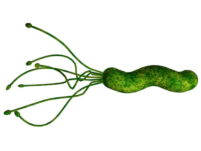 Helicobacter Pylori, la enemiga del estómago