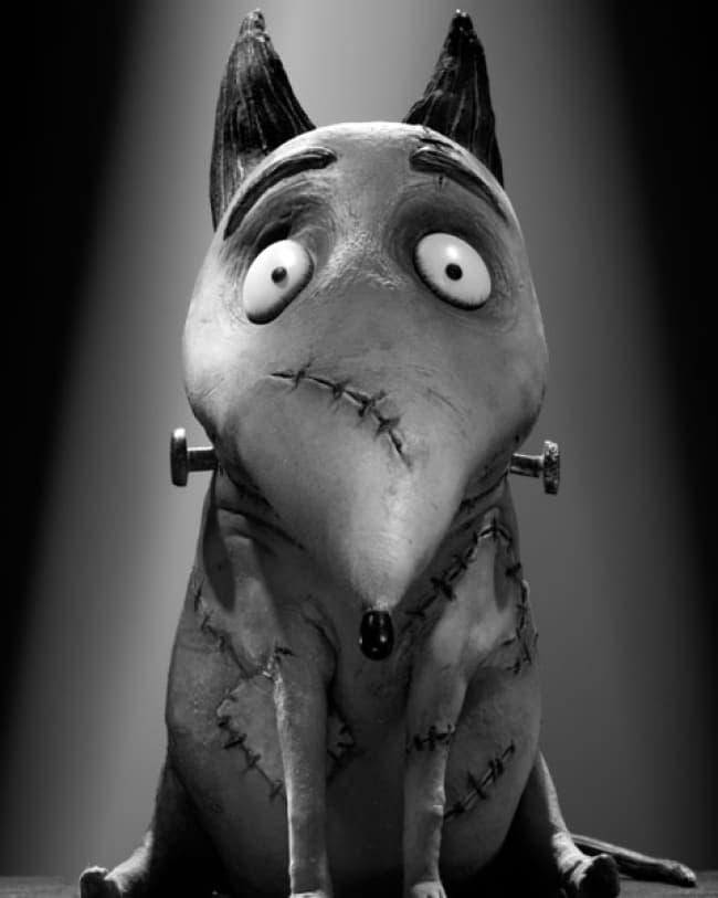 “Frankenweenie” narra la historia del pequeño “Victor” y su perro “Sparky”. Tras la inesperada muerte de su mascota, el joven realiza un experimento científico para resucitar a su mejor amigo.