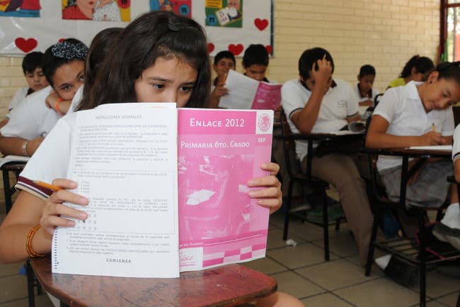 Salen bajos. Más de la mitad de los alumnos de primaria y secundaria presentan conocimientos insuficientes o elementales.
