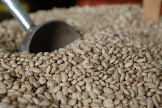 Los frijoles ayudan a reducir los niveles de colesterol y triglicéridos, son bajos en grasas, proporcionan proteínas y antioxidantes. ARCHIVO