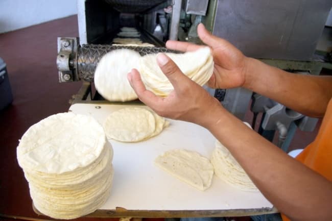 La tortilla de maíz tiene tan sólo de 72 a 78.4 calorías, por lo que puede ajustarse a los planes alimenticios basados en el requerimiento calórico de cada persona. ARCHIVO