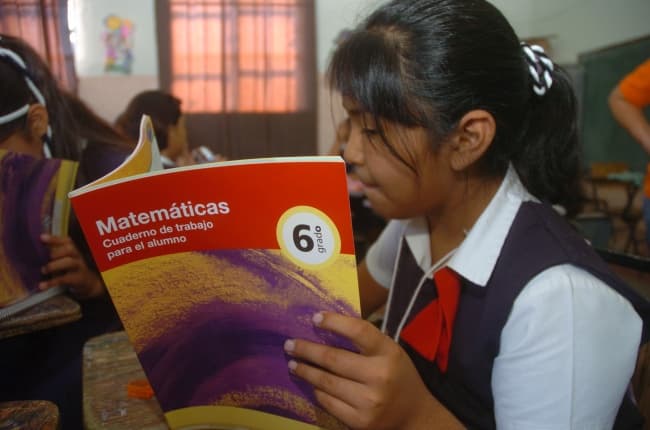 El método en que se enseñan las matemáticas deben a pegarse a la diversidad y realidad mexicana para abatir la deserción escolar, aseguró el experto Ricardo Cantoral Uriza.