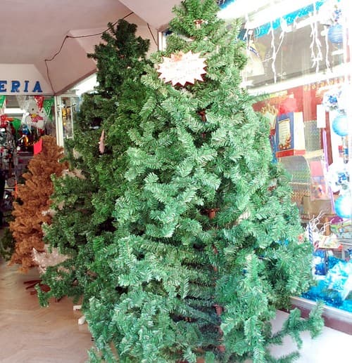 Para venta. Apenas analizan los silvicultores de Durango si se siembran en la entidad árboles de navidad para su venta.