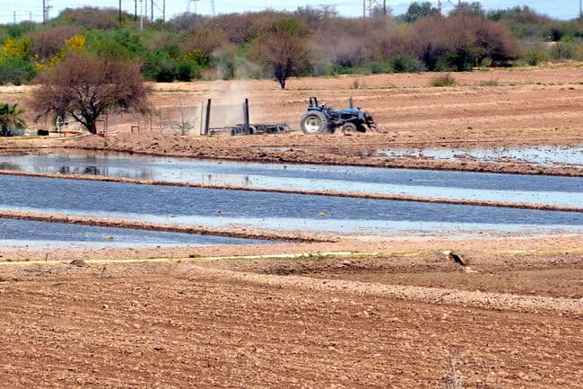 Urgente. Programa de empleo podría 'amortiguar' la eliminación de jornales en el campo, dijo García.