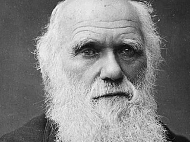 A través de lecturas, concursos, videos y conferencias magistrales se conmemorará en la Universidad de Tennessee el 204 aniversario del natalicio del naturalista inglés Charles Darwin, creador de la teoría de la evolución biológica. INTERNET