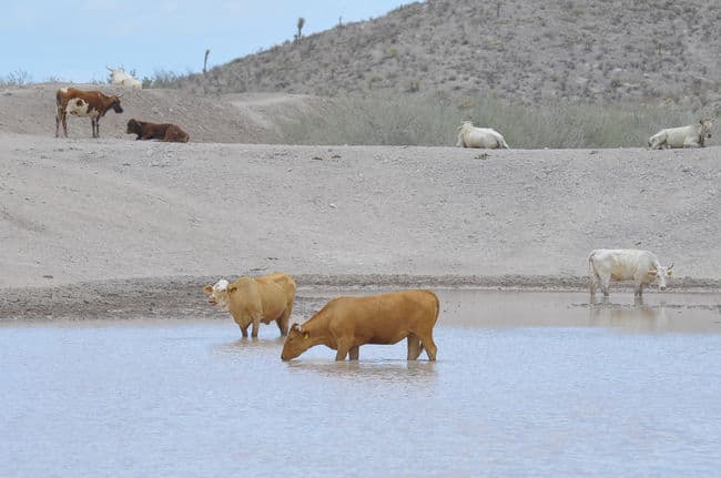 Inoperantes. Las obras del programa Pequeñas Obras Hidráulicas, se encuentran sin aprovechamiento, debido a que su objetivo es almacenar el agua de lluvia.