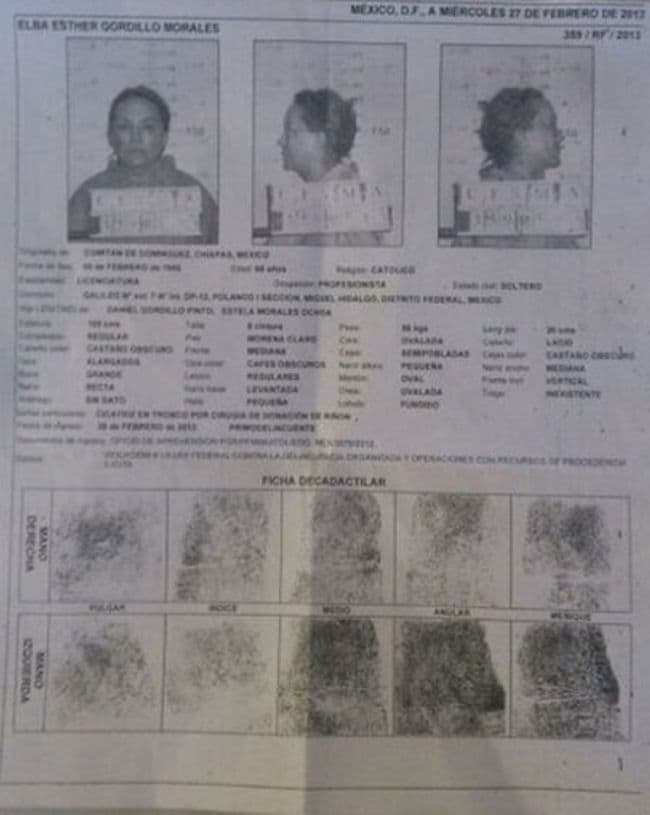 Por la red. Comenzó a circular la ficha signalética de Elba Esther Gordillo, quien fue detenida el martes, en la que aparece fotografiada, de frente y perfil con la pizarra de detención, así como sus datos personales y sus huellas dactilares.