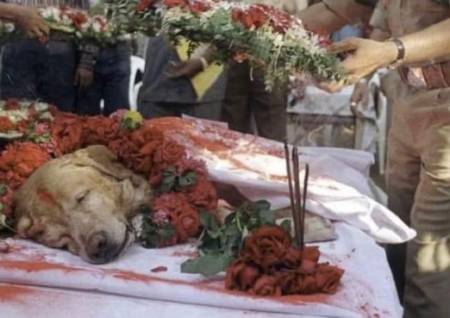 El can fue despedido como un héroe, y a su funeral asistieron funcionarios y jefes de la policía de Bombay. (ESPECIAL)