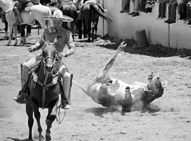 Hoy se celebrará la primera charreada del fin de semana en el Lienzo Charro Laguna de Gómez Palacio con la participación de tres equipos. Listos para la charreada doble en el Lienzo Charro