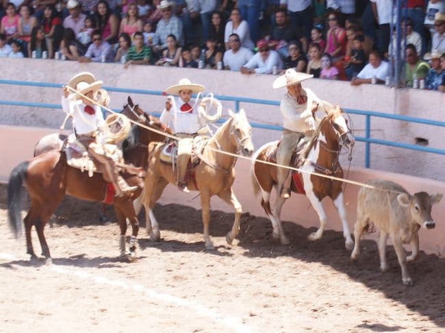 Charros Infantil de La Laguna fueron los ganadores de la charreada denominada Tres Generaciones, celebrada ayer. Charros Infantil gana la Charreada 3 Generaciones