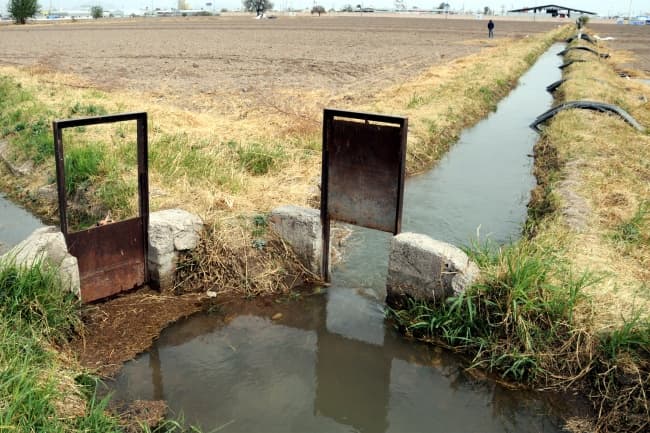 El mayor problema para la humanidad es la agricultura, que es la actividad que más agua utiliza 'y de forma muy ineficaz'. ARCHIVO