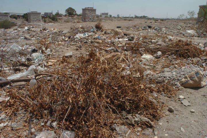 Negativo. La economía global creció cuatro veces a costa de que el 60 por ciento de los ecosistemas más importantes en el mundo fueron utilizados de manera insostenible.