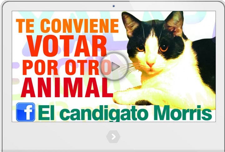 Noticias, frases y propaganda pueden encontrarse en la página web del 'candigato' Morris. ESPECIAL
