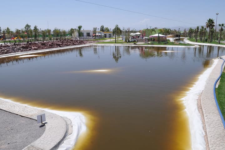 Agua negra. El lago de las lanchas no solamente presenta burbujas de aire en la membrana, también el agua se tornó oscura.
