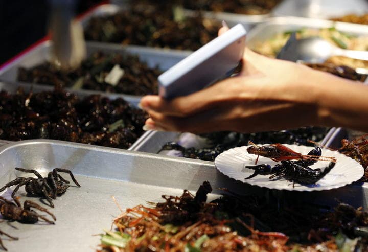 Insectos comestibles en Tailandia
