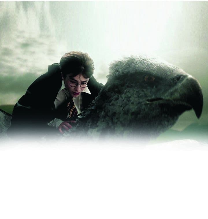 Continuará la magia... pero sin Potter