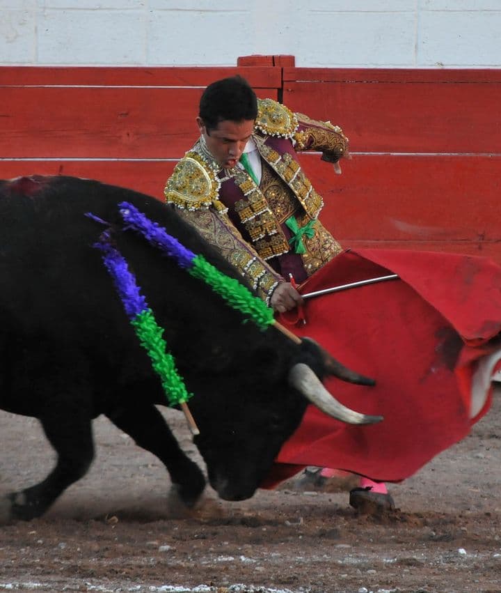 El lagunero Mario Mora buscará tener el próximo domingo una tarde triunfal ante tres diestros zacatecanos. Mario Mora toreará en Juan Aldama, Zacatecas