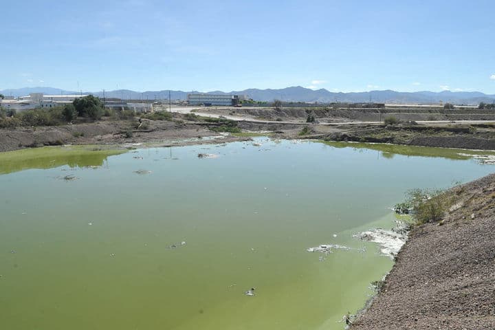 Abundante. Las descargas del agua, color verde, ocurren cerca del fraccionamiento Las Villas.