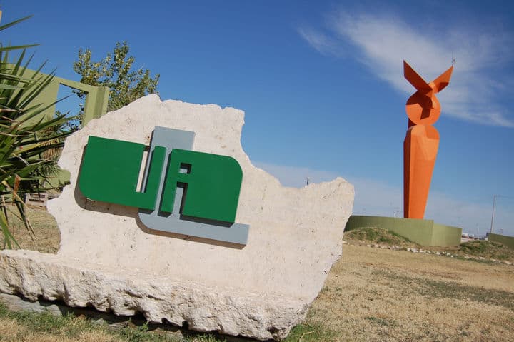 La inauguración se realizará este día en las instalaciones de la UAL. UAL celebra 25 aniversario con la Copa Halcones