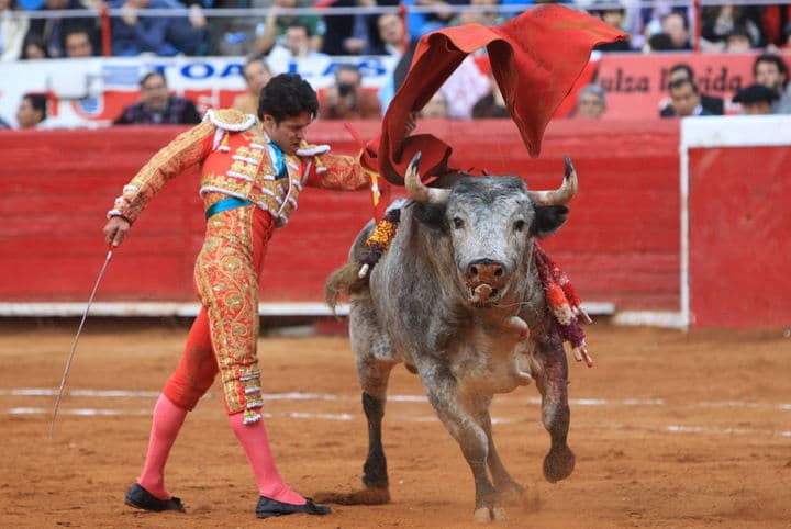 El mexicano Federico Pizarro lidia su primer toro de la tarde 'Gonzalero'. Federico Pizarro, torero de gran clase en la México