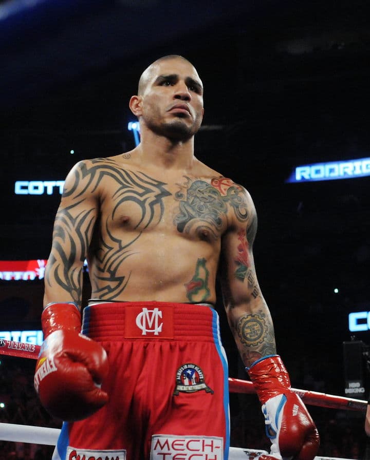 El puertorriqueño Miguel Ángel Cotto y el monarca de las 160 libras del Consejo Mundial de Boxeo, Sergio 'Maravilla' Martínez, anunciaron oficialmente su pelea para el 7 de junio en el Madison Square Garden de Nueva York. (Archivo)