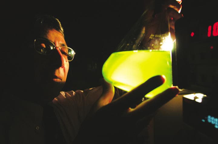 En el laboratorio de Oak Ridge, han demostrado que las algas se pueden usar como biosensores para detectar la presencia de toxinas en el agua potable.