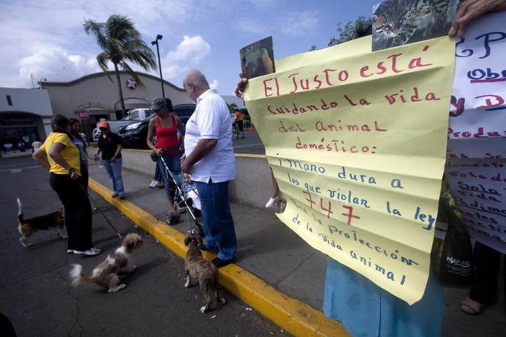 Los dueños de las mascotas con pancartas y gritos demandaron a las autoridades aplicar la Ley de Protección y Bienestar Animal, que sanciona la muerte injustificada de animales. (EFE)