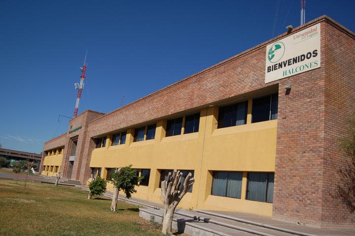 La UAL ofrecerá un 50 por ciento de beca para los alumnos de estas nuevas carreras. (Archivo)