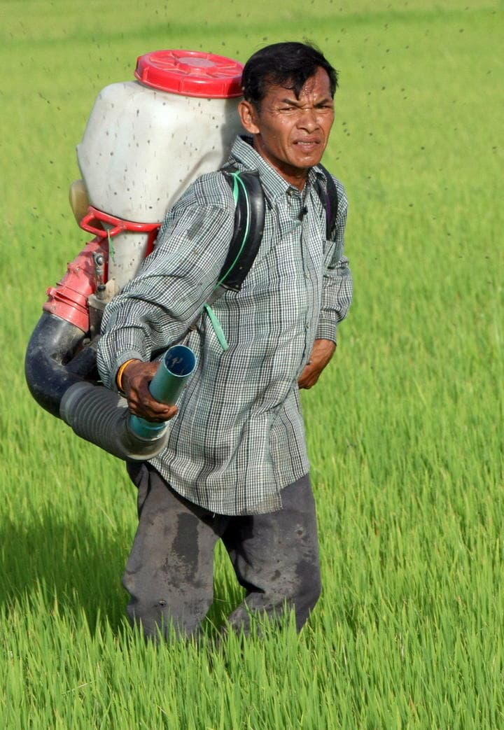 Las muertes originadas por productos químicos relacionados con la industria y agricultura, ascendieron a 1.7 millones, lo que equivale al 50% del total de los registros en el mundo. (ARCHIVO)