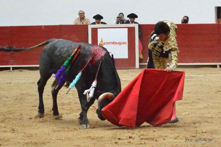 Gerardo Solís se presenta esta tarde en el ruedo de la Monumental Plaza de Toros El Carmen de Caxuxi, Hidalgo, donde estará en busca de un triunfo más para su carrera novilleril.