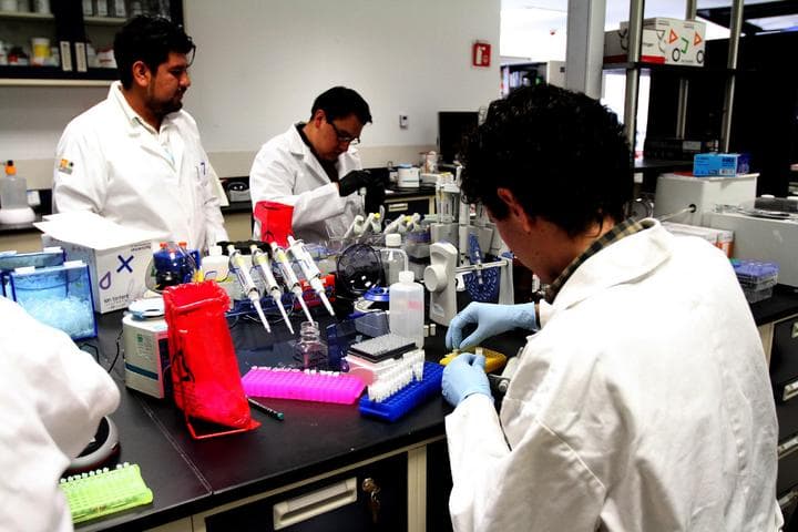 Los científicos matizan que hay un largo camino hasta conseguir que este compuesto se comercialice como fármaco, pero subrayan que su descubrimiento apunta al IDE como nuevo objetivo para alcanzar nuevos tratamientos contra la diabetes. (ARCHIVO)