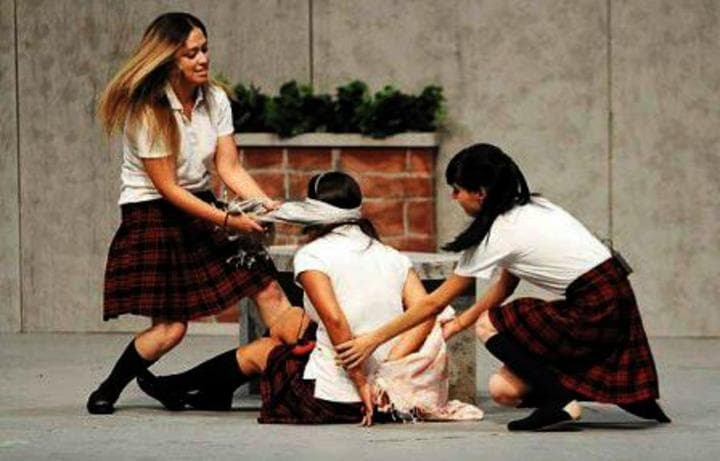 La coordinadora del programa Escuela Segura de la SEG, Lea Bustamante, informó que el 50% de las escuelas señaladas son de nivel secundaria, ubicadas principalmente en Chilpancingo y Acapulco.
