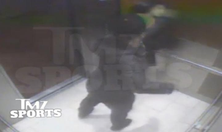 Los dos se golpean hasta que Rice parece darle a Palmer un puñetazo que la noquea. (TMZ Sports)