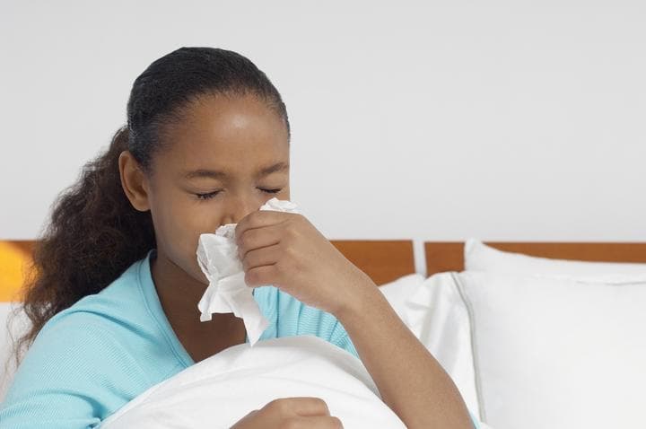 Las vaporizaciones ayudan a abrir las vías respiratorias y aliviar la irritación de garganta, si estas se hacen con eucalipto, el cual tiene propiedades expectorantes. (ARCHIVO)