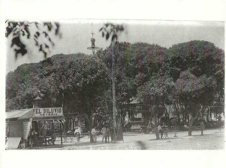 Plaza Juárez:Luciendo en todo su esplendor el tupido follaje de su arbolado, allá por las primeras décadas del siglo pasado.