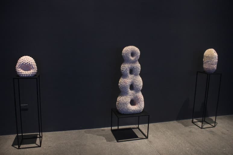 Premiada. Andrés Anza Cortés ganó uno de los estímulos de la Bienal por una de las obras (der.) de la serie Iztacoxochitl.