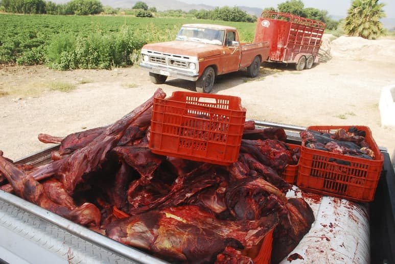 Operativo. Hace poco una cantidad considerable de carne de 'bachán' fue decomisada. (EL SIGLO DE TORREÓN)