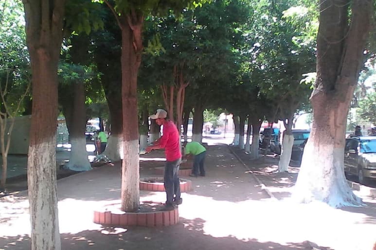 Acuden. Personal que se encuentra a cargo de la Dirección de Medio Ambiente y Ecología realiza varias actividades. (EL SIGLO DE TORREÓN)