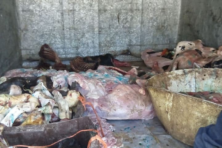 Carne. Asegurada no era apta para el consumo humano, dijeron las autoridades.