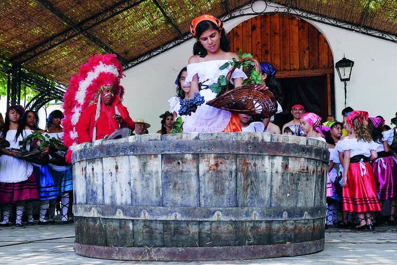 Hermosas vendimiadoras con sus vestidos blancos y pañoletas de colores, van por el pueblo con sus canastas llenas de deliciosas uvas listas para la molienda.